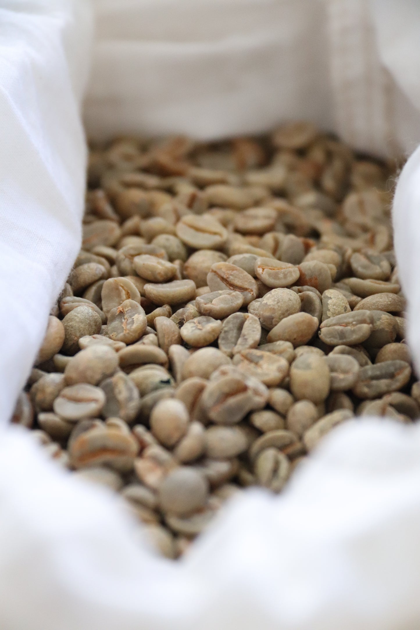 Green Coffee Beans NZ