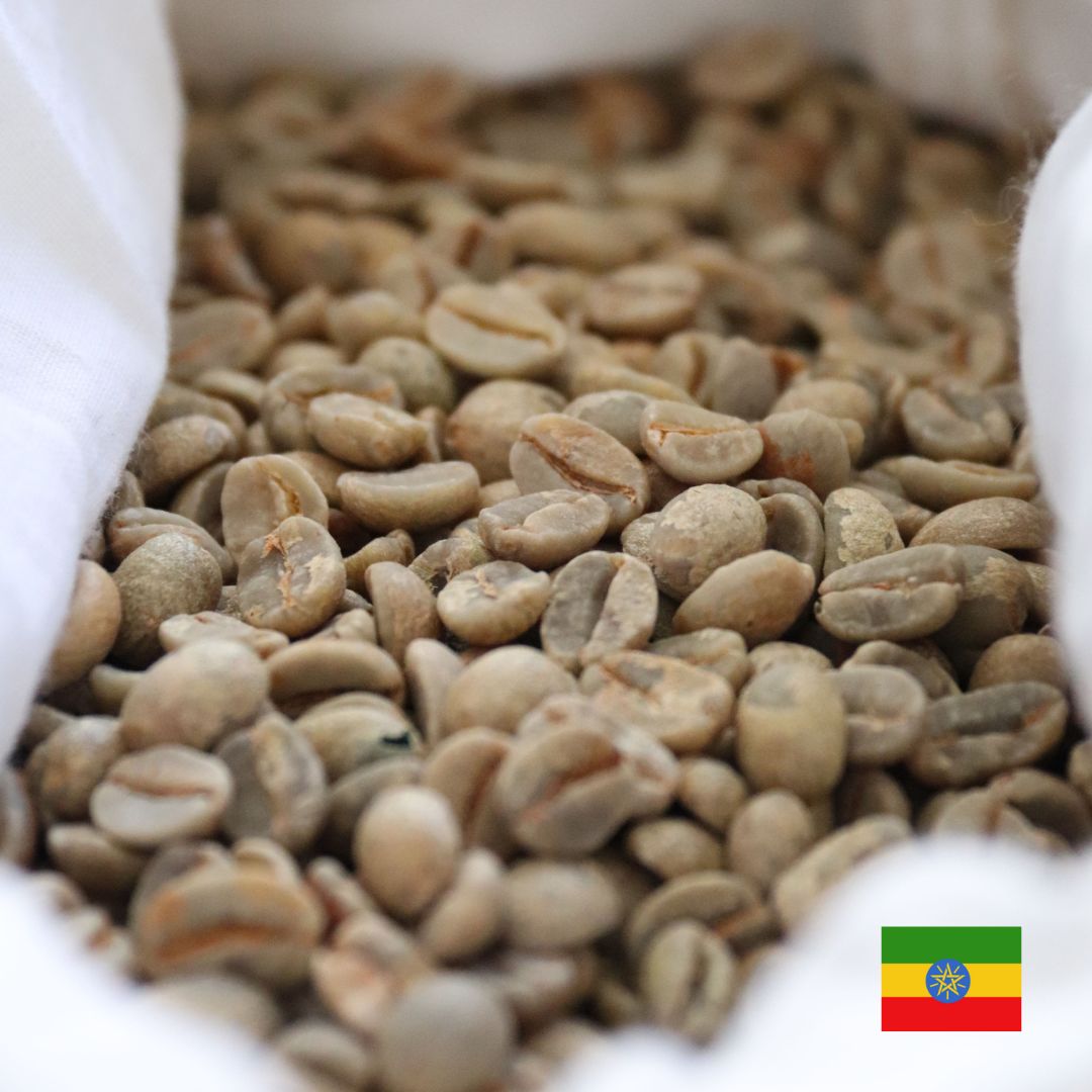 Ethiopia - Anbessa Reserve