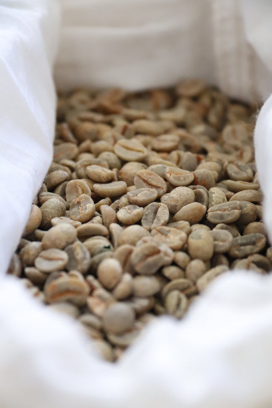 Green Coffee Beans NZ